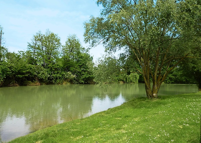 Bord de rivière de l'Hers