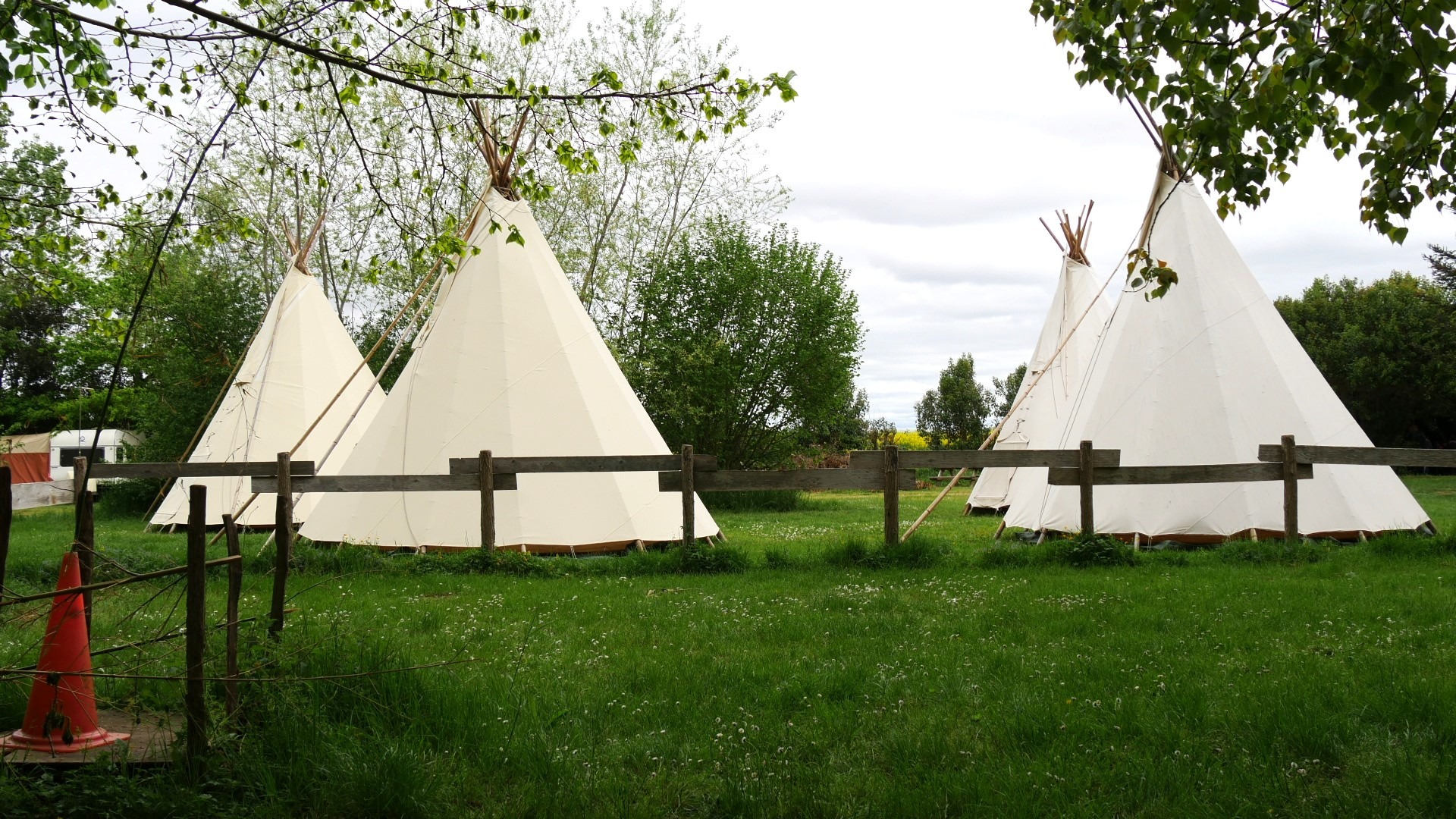 Tipis