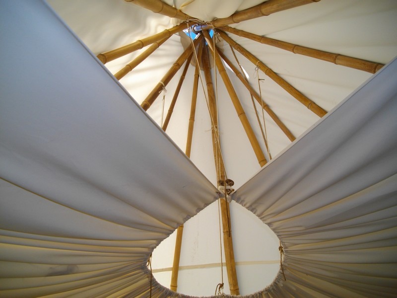 TIpis