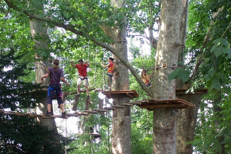 Parcours arbre