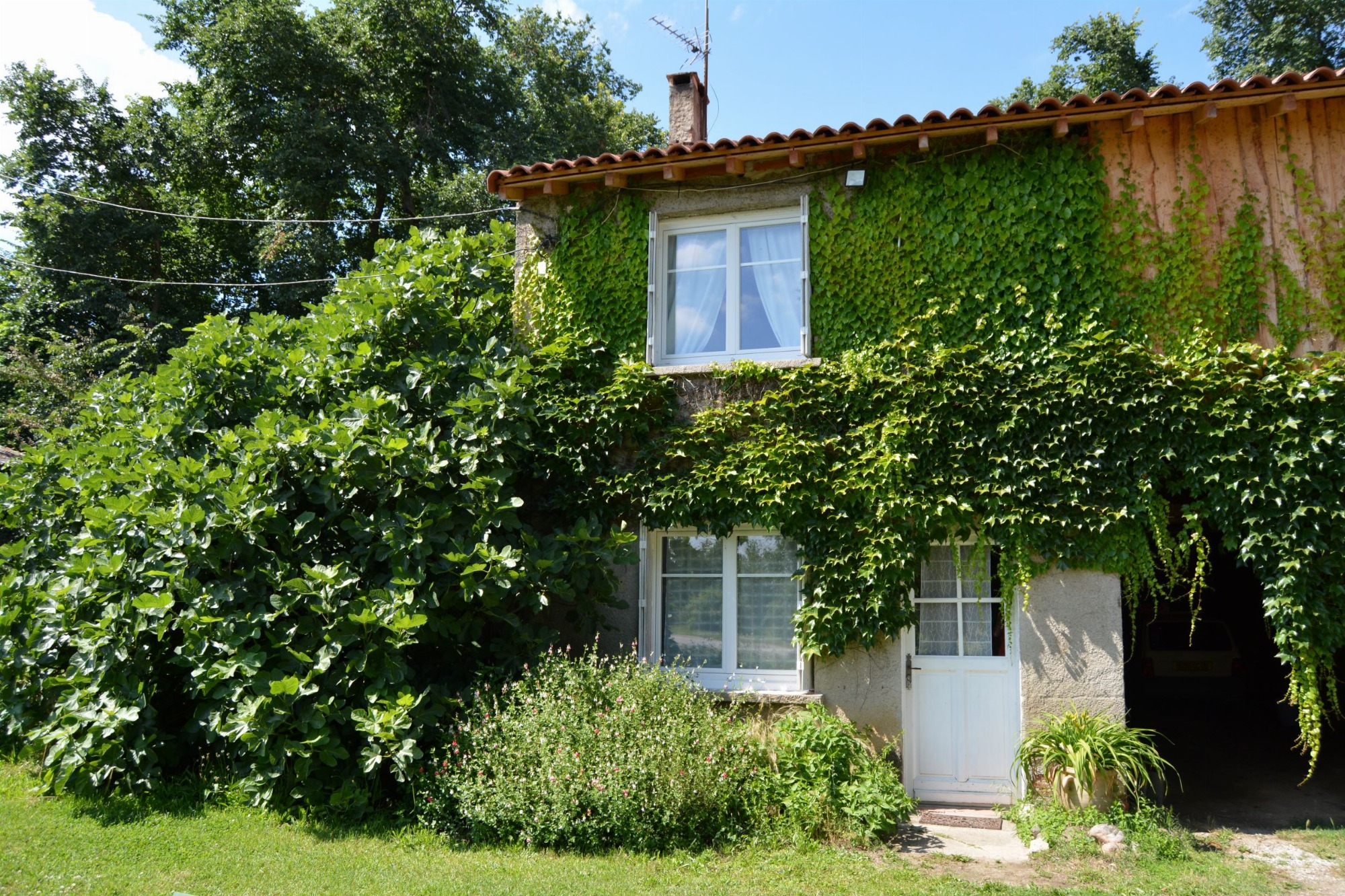 Devant le gîte