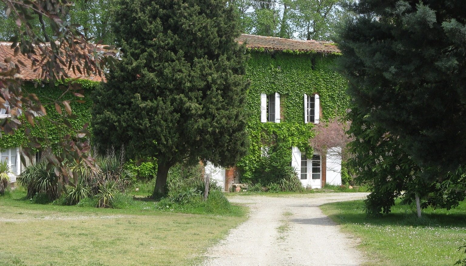 façade avec lierre et parc arboré