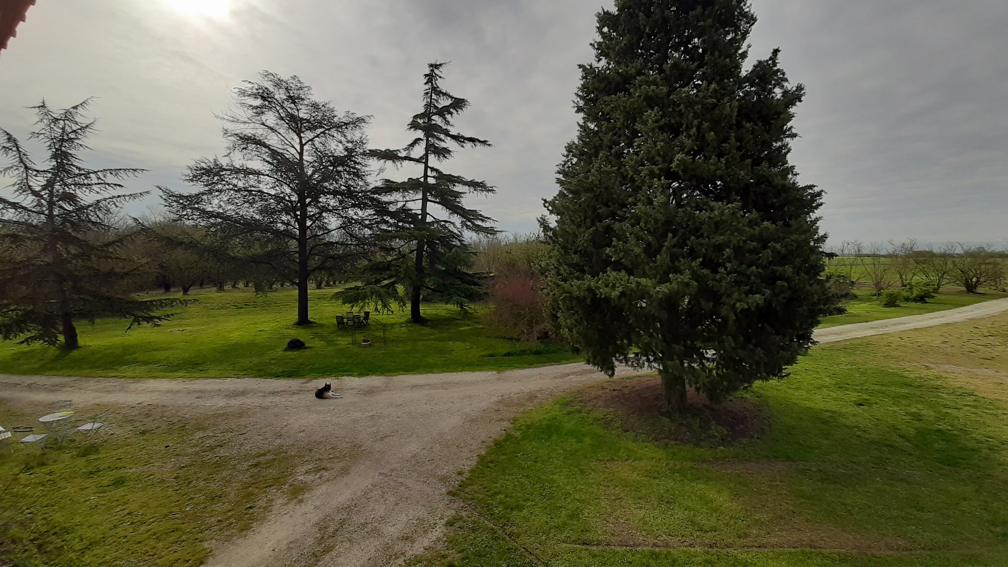 Vue du parc arboré