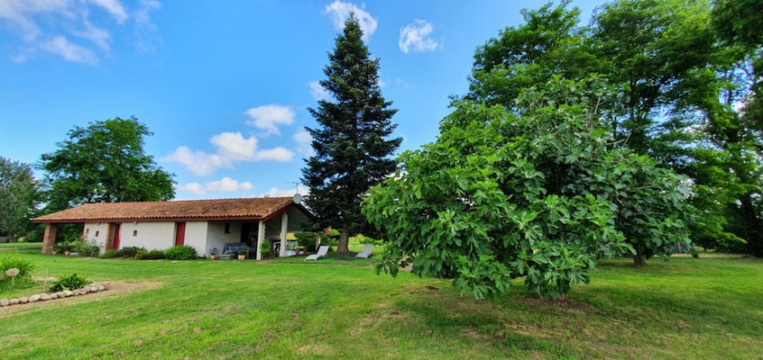 la petite maison vu du jardin avec parc arboré