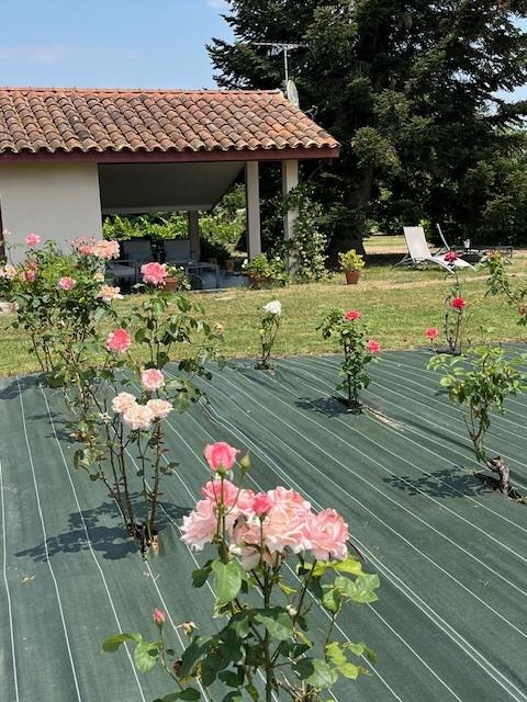 Jardin