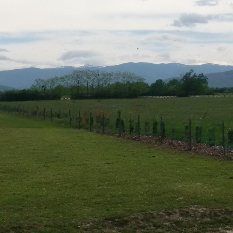 vue sur la chaine des Pyrénées depuis le gîte