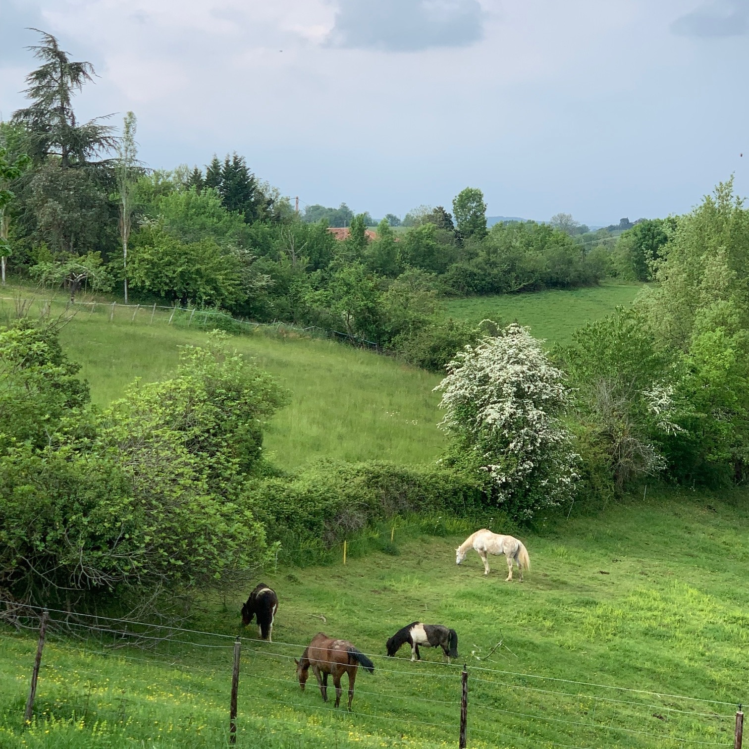 vue du parc jardin