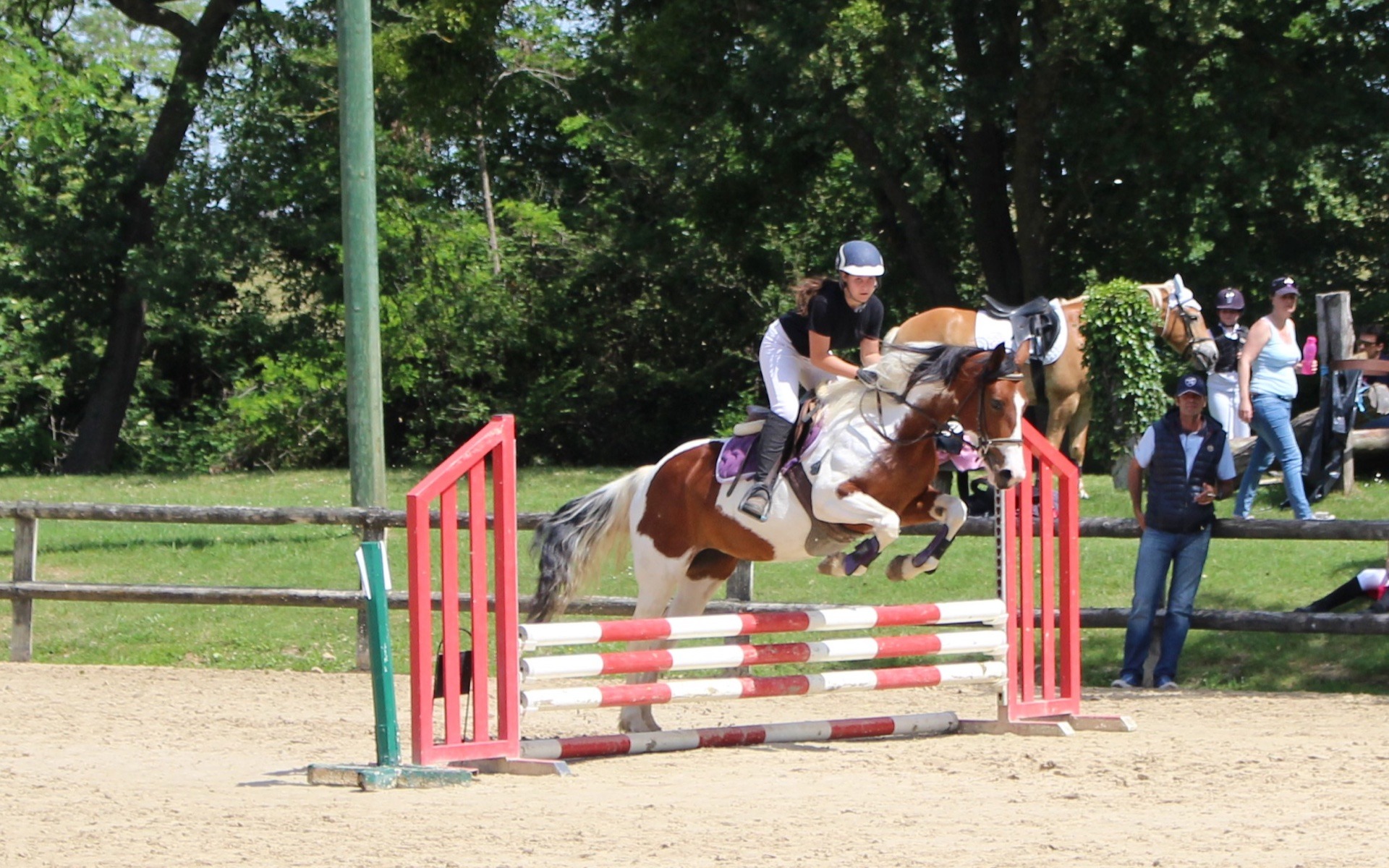Saut d'obstacle