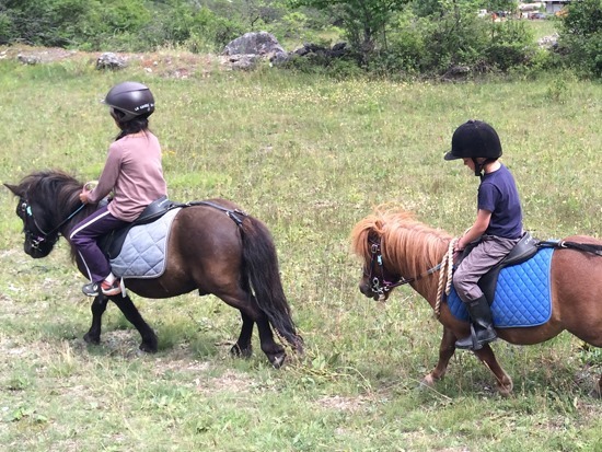 Balades enfants avec poney
