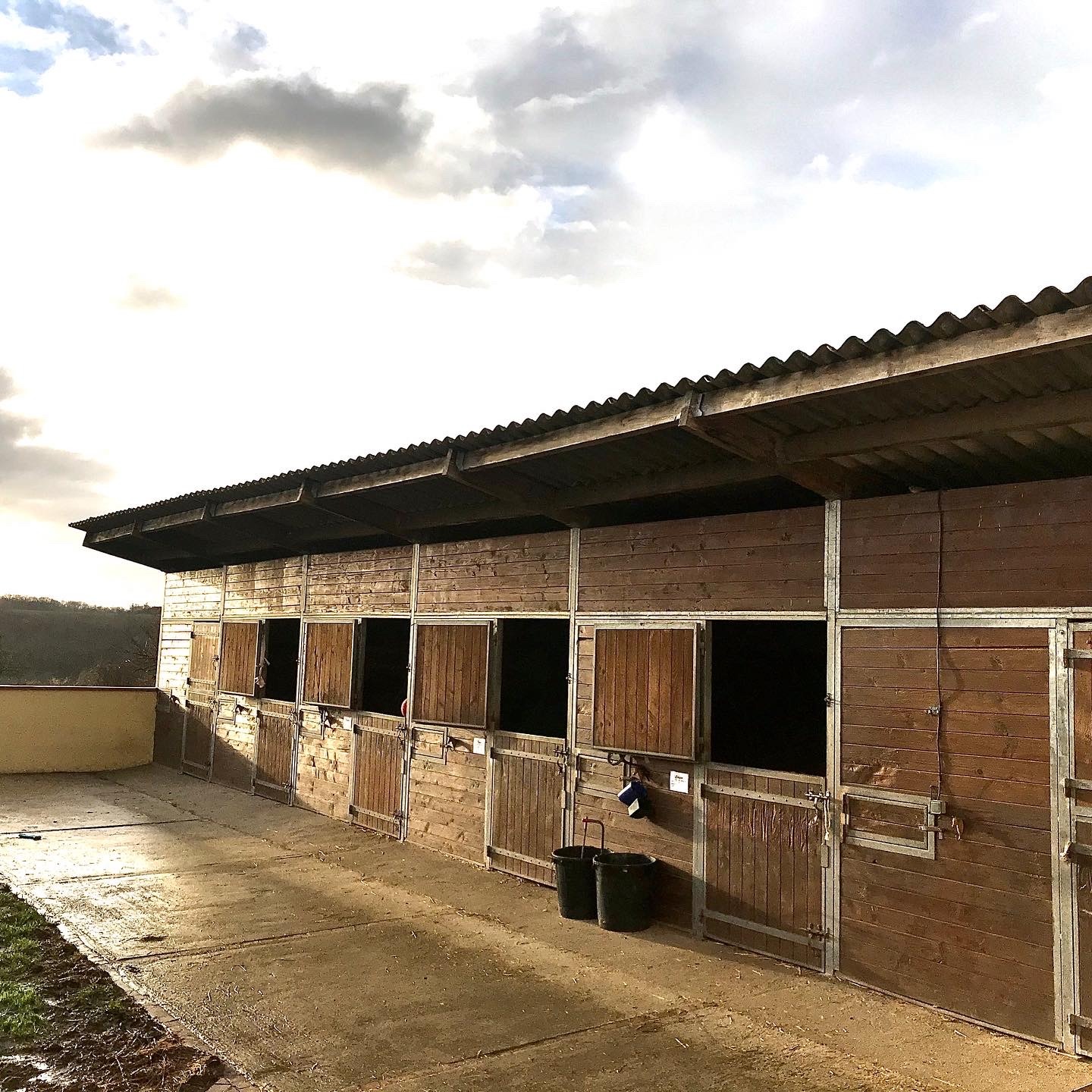 Box pour chevaux
