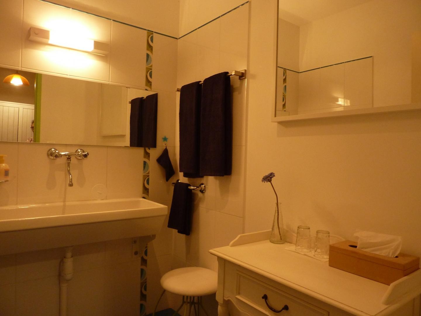salle d'eau de la chambre