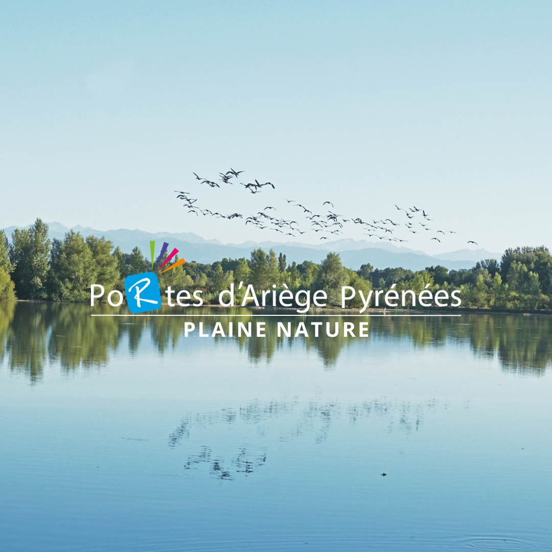 Logo destination PAP
