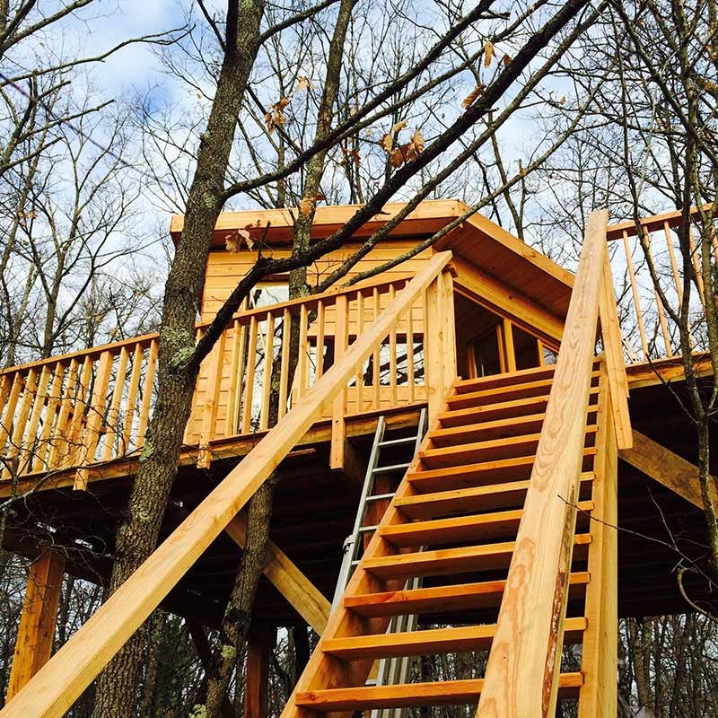 Vue de la cabane avec escaliers