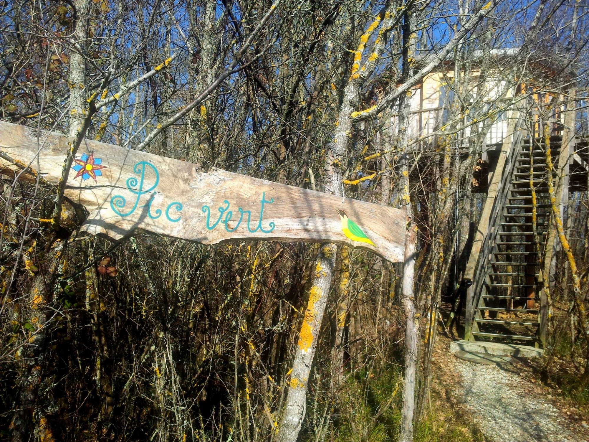 Cabane pic vert