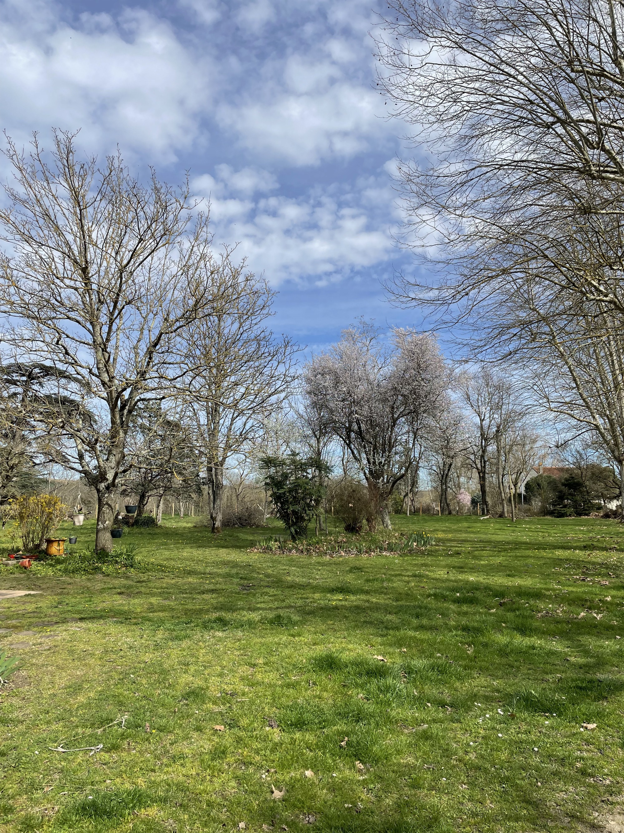 Parc arboré du domaine