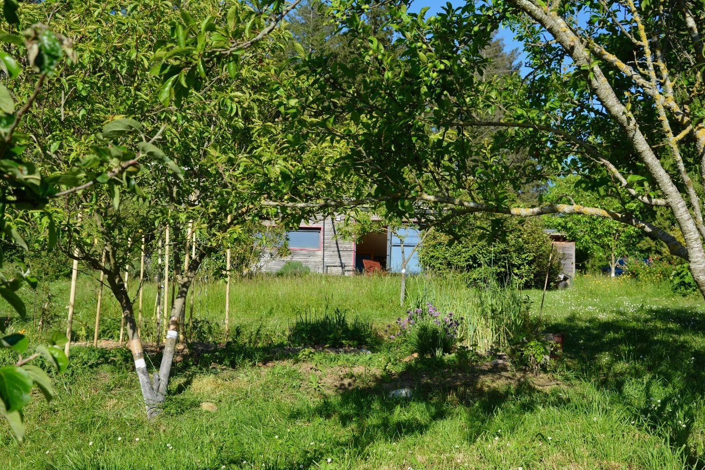 Vue jardin