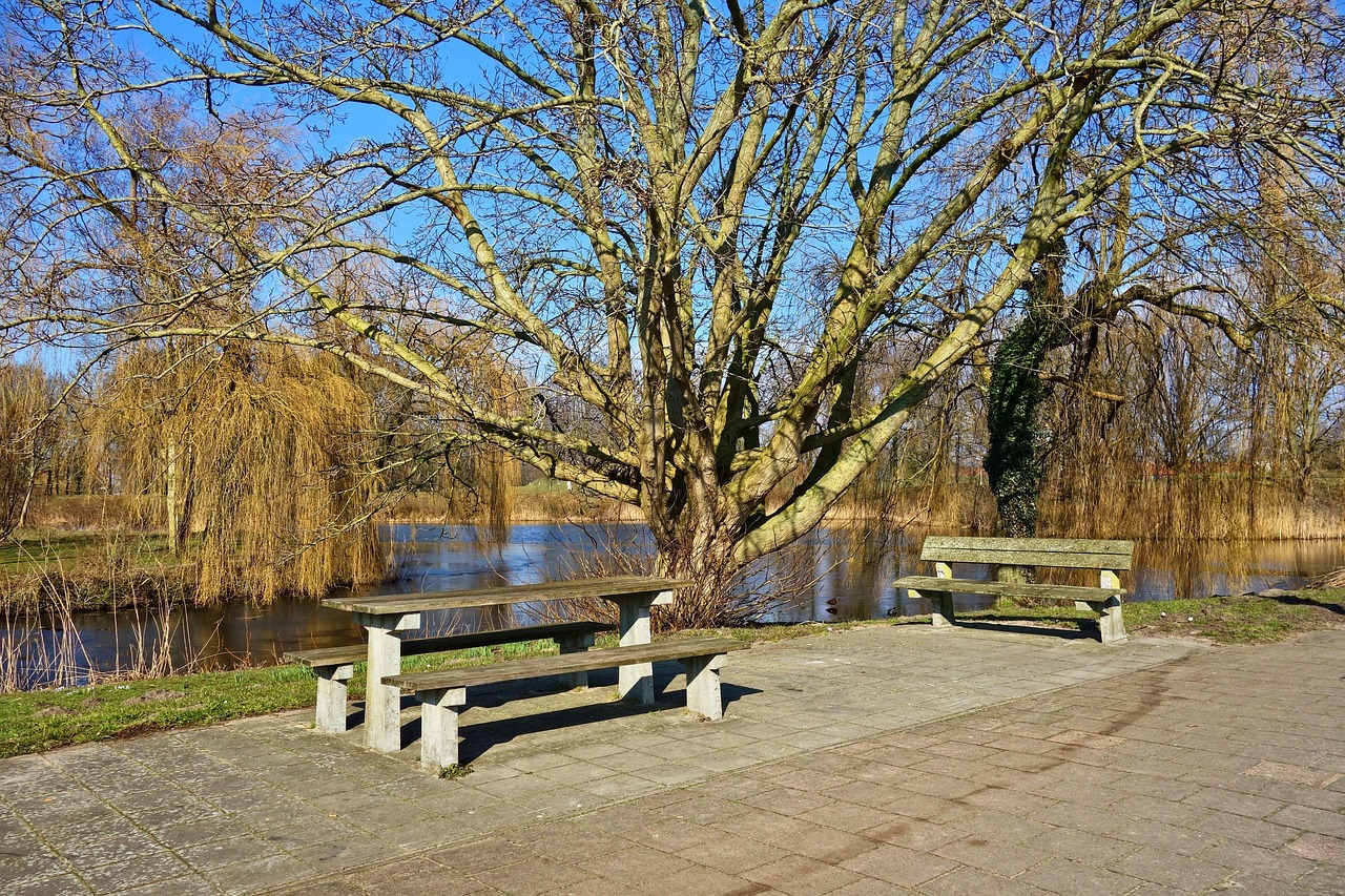Aire de pique-nique Gabriélat à Pamiers_Pamiers