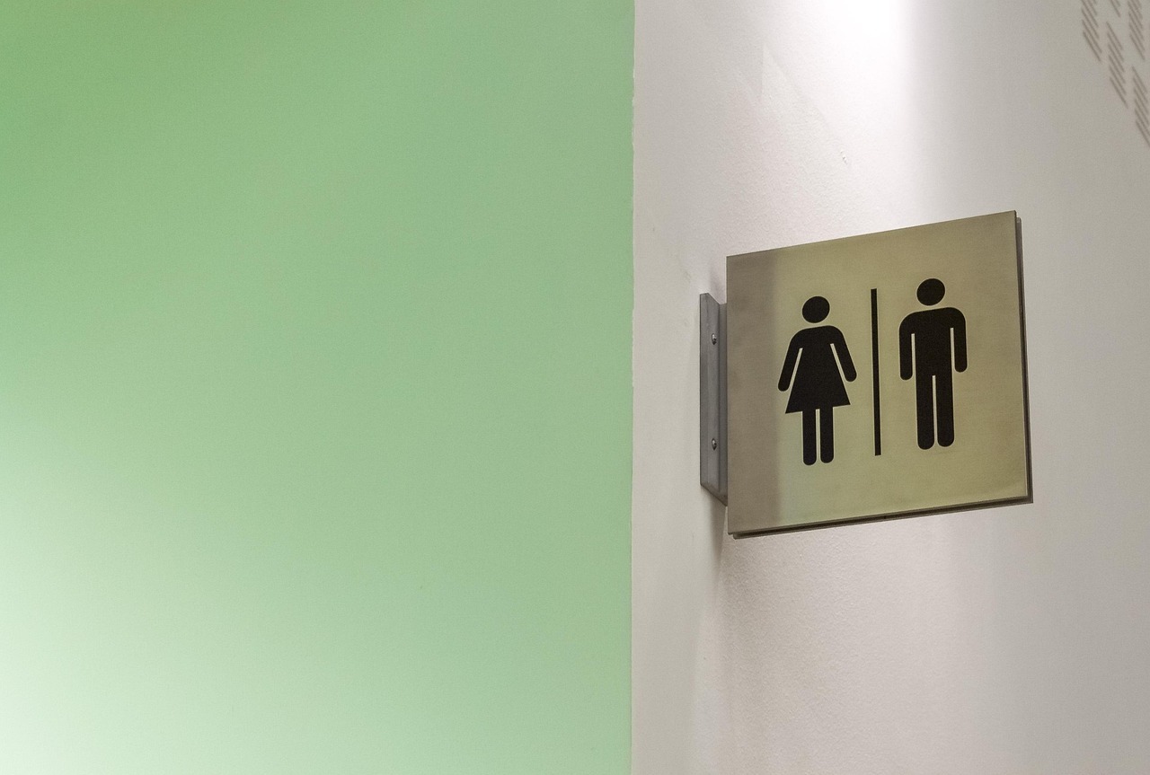Toilettes publiques, sortie péage Pamiers_Pamiers