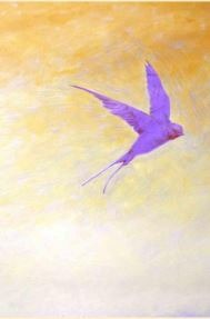 Oiseau